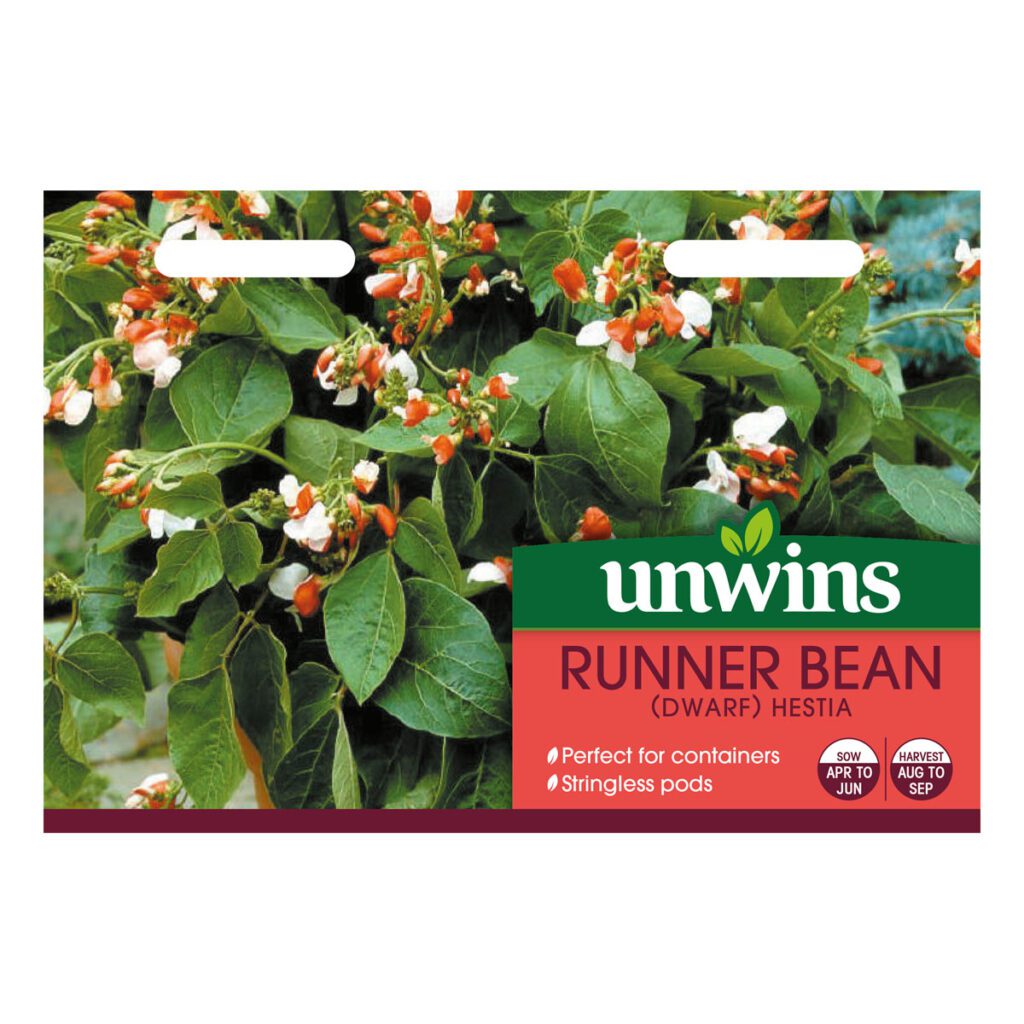 Unwins Dwarf Runner Bean Hestia Seeds 5051618007900 2